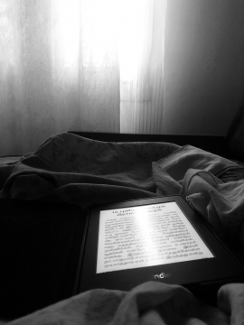 The Morning Bliss